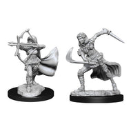 D&D Nolzur's Marvelous Unpainted Miniatures: Air Genasi, Female