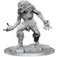 D&D Nolzur's Marvelous Unpainted Minis: W16 Ice Troll