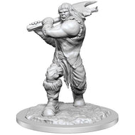 D&D Nolzur's Marvelous Unpainted Minis: W16 Ogre