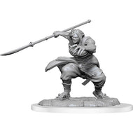 D&D Nolzur's Marvelous Unpainted Minis: W17 Oni Female