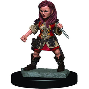 D&D, Icons of the Realms: Premium Painted Miniature