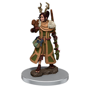 D&D Premium Painted Figure: W7 Female Human Druid