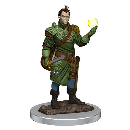 D&D Premium Painted Figure: W7 Male Half-Elf Bard